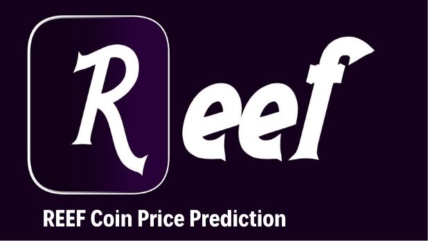 reef coin price prediction by years