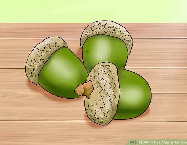 how to delete acorns account easily