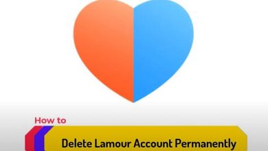 how to delete Lamour account